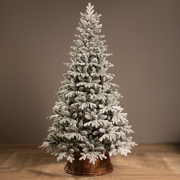 Заснеженная ёлка Каспийская 