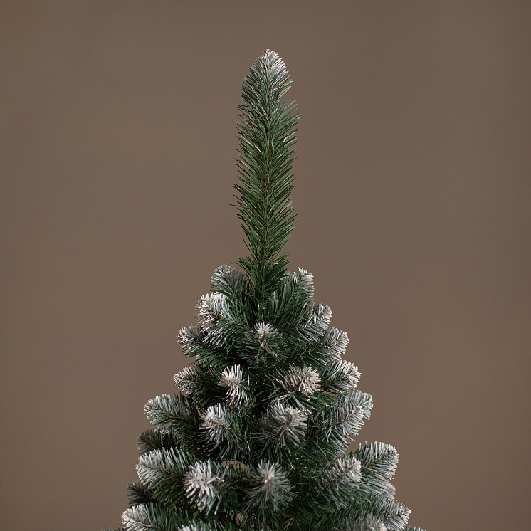 Ёлка настольная Канадская 