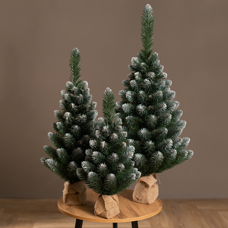Ёлка настольная Канадская 