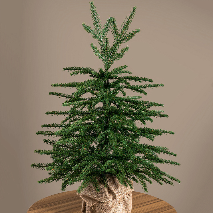 Ёлка настольная Карпатская 