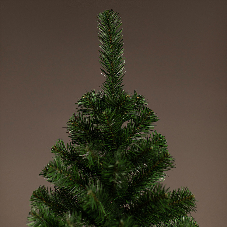 Ёлка Лесная оптом