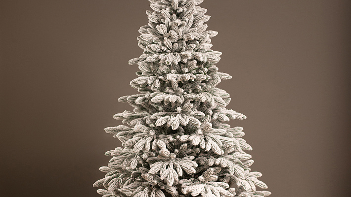 Заснеженная ёлка Донская