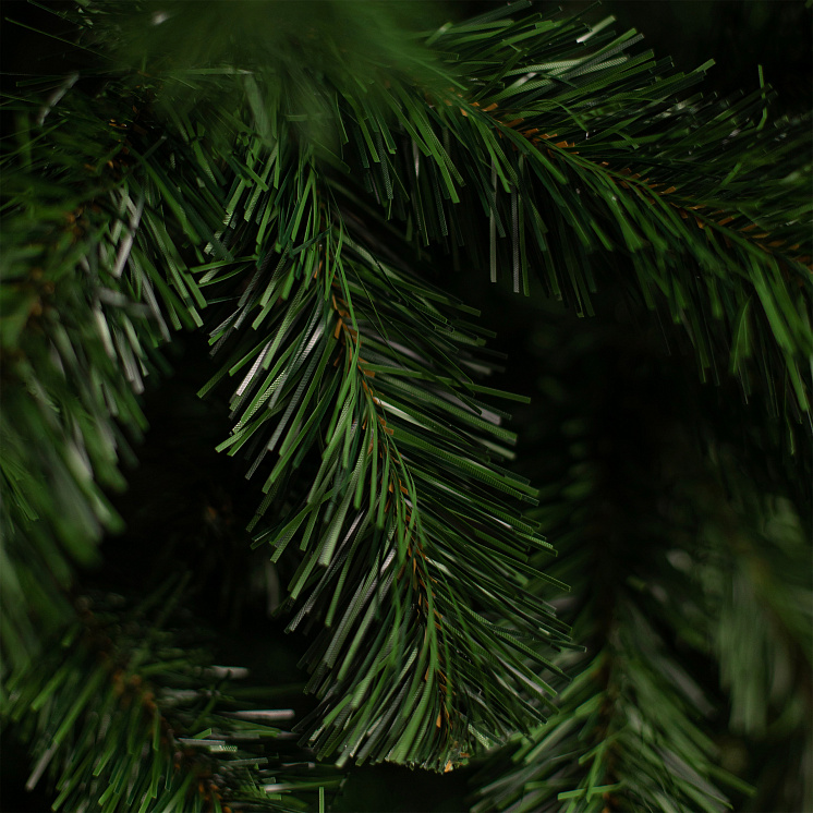 Ёлка Лесная оптом