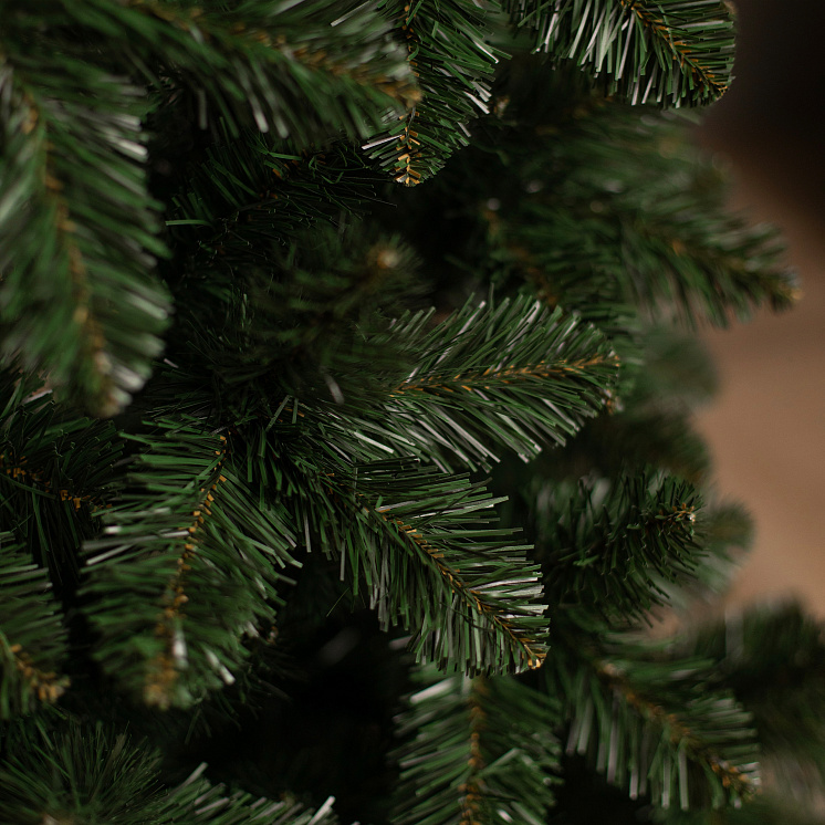 Ёлка Никольская оптом