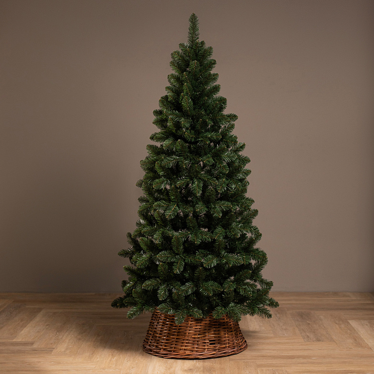 Ёлка Никольская оптом