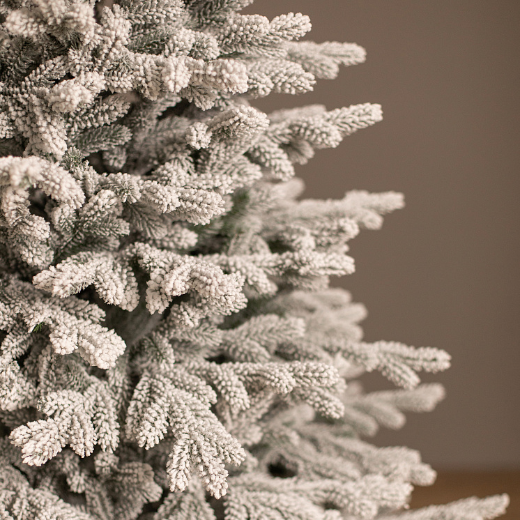 Заснеженная ёлка Уральская 