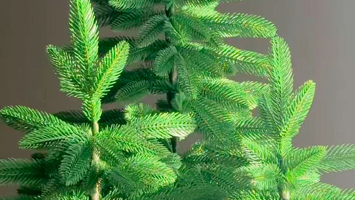 Ёлка настольная Ставропольская