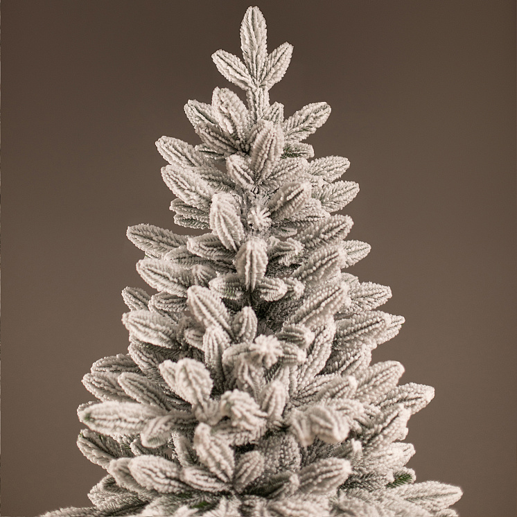 Заснеженная ёлка Донская 