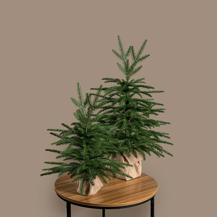 Ёлка настольная Карпатская 