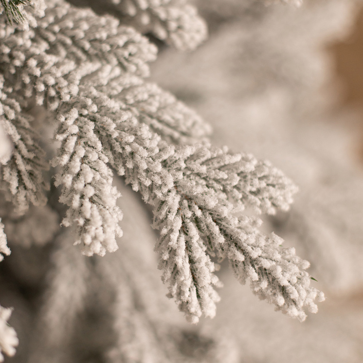 Заснеженная ёлка Уральская 