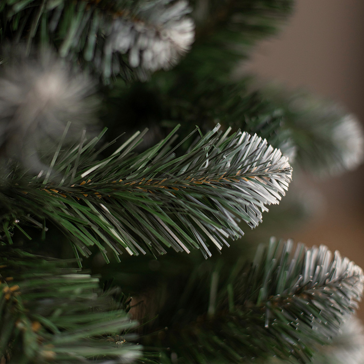 Ёлка Никольская иней оптом