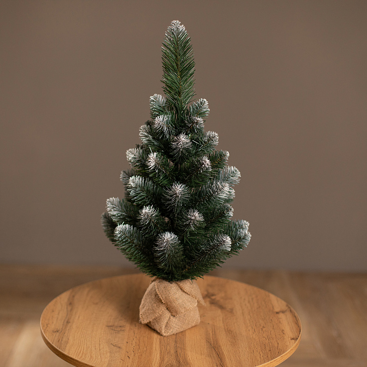 Ёлка настольная Канадская 