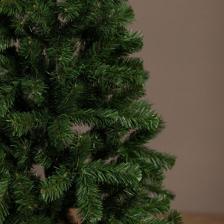 Ёлка Лесная оптом