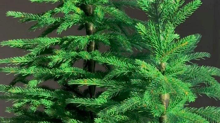 Ёлка настольная Карпатская