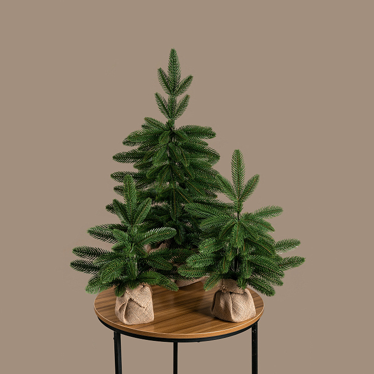 Ёлка настольная Ставропольская 