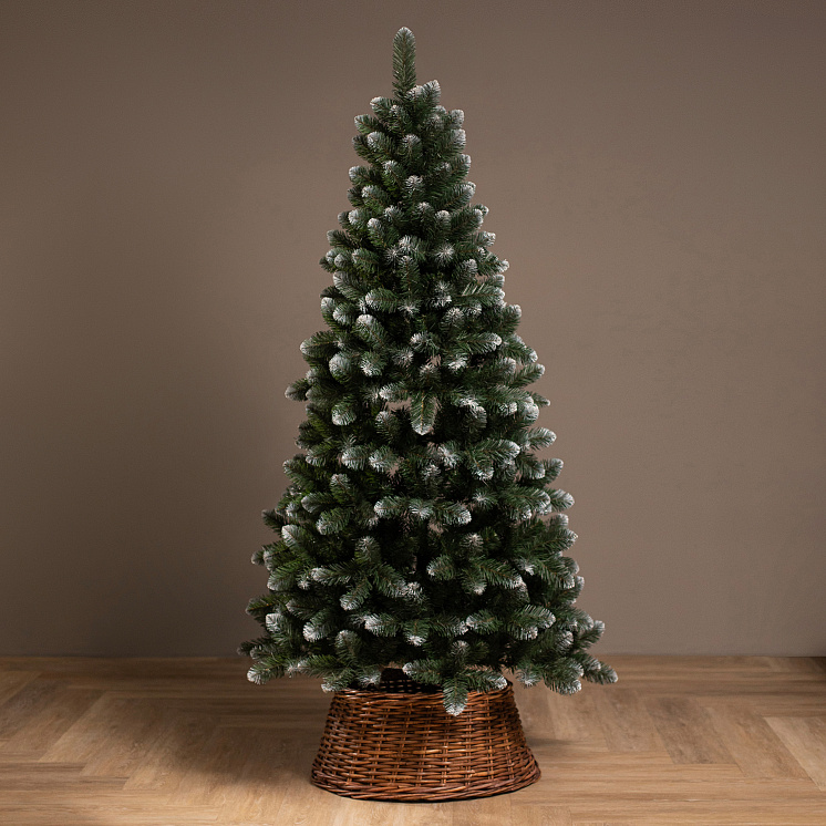 Ёлка Никольская иней оптом