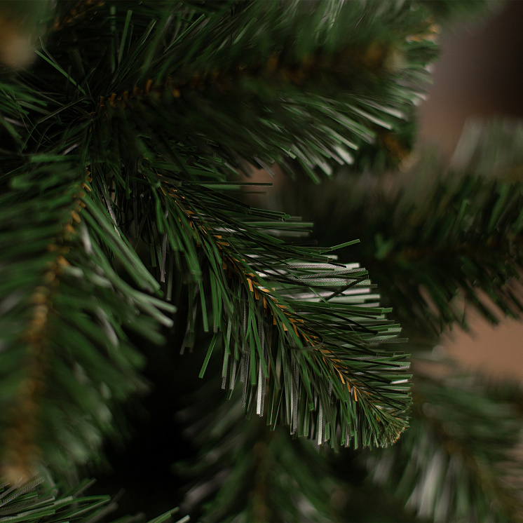 Ёлка Никольская оптом