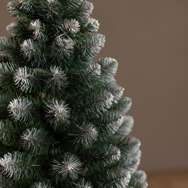 Ёлка настольная Канадская 