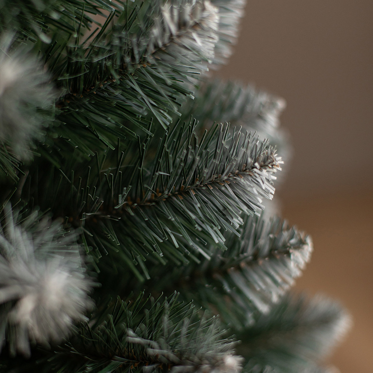 Ёлка настольная Канадская 