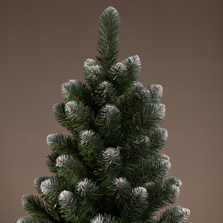 Ёлка Никольская иней оптом