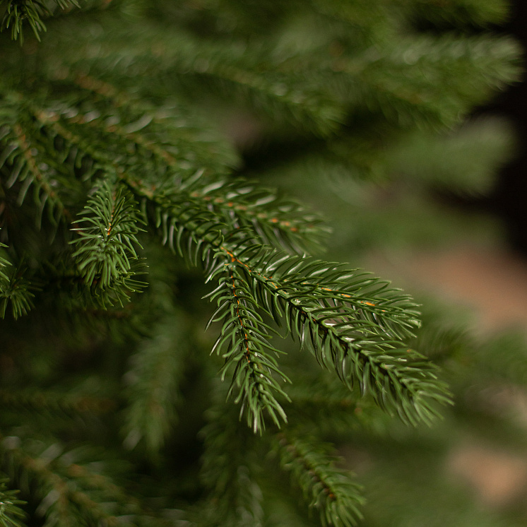 Литая ёлка Уральская 