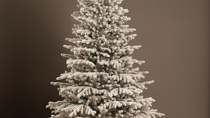 Заснеженная ёлка Уральская