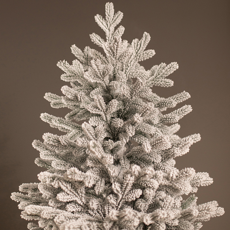 Заснеженная ёлка Уральская 