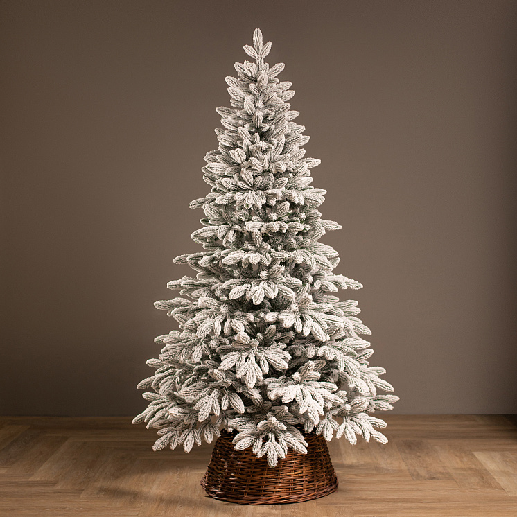 Заснеженная ёлка Донская 